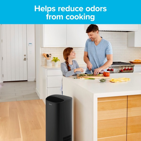 Filtrete™ Premium Allergen, Bacteria & Virus True HEPA Air Purifier Filter FAPF-F1N-2 (2 pack)
