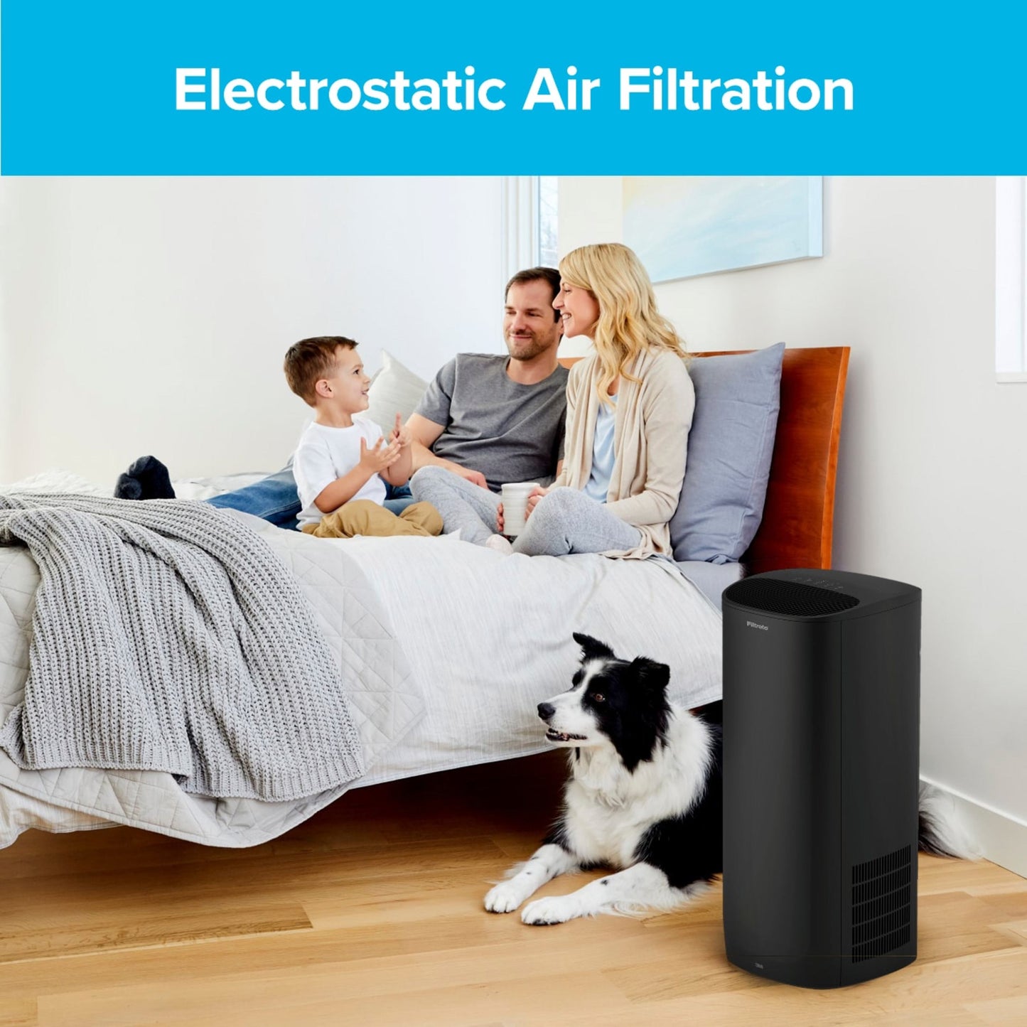 Filtrete™ Premium Allergen, Bacteria & Virus True HEPA Air Purifier Filter FAPF-F1N-2 (2 pack)